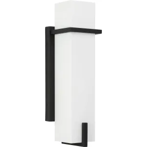 Antrim Collection One-Light Medium Outdoor Wall Lantern
