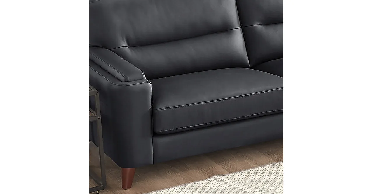 Elm Leather 2 Seater Sofa Collection, Charles Black