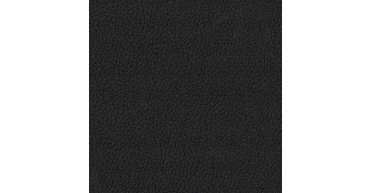 Elm Leather 2 Seater Sofa Collection, Charles Black