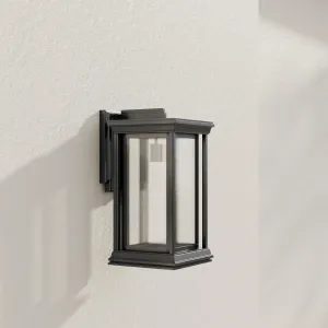Endicott Collection One-Light Medium Wall Lantern
