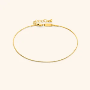 Micro Harmony Anklet