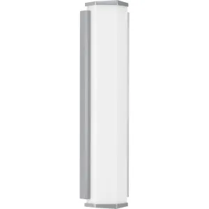Z-1070 LED Collection Two-Light Large LED Outdoor Sconce